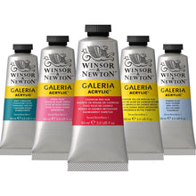 Load image into Gallery viewer, Winsor &amp; Newton Galeria Acrylics, 60ml
